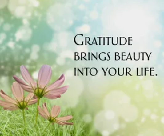 "An inspirational image featuring pink cosmos flowers in a grassy field with a soft bokeh background and the text 'Gratitude Brings Beauty Into Your Life,' answering why is beauty important in life."