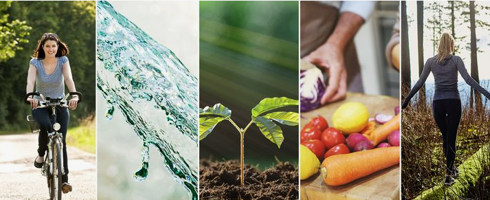 "A collage of healthy lifestyle activities, including cycling, fresh water, a growing plant, healthy vegetables, and walking in nature, representing the 5 pillars of wellness."