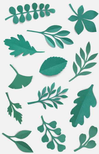 A collection of various teal and green cut-out leaves for easy paper crafts and nature-inspired decor.