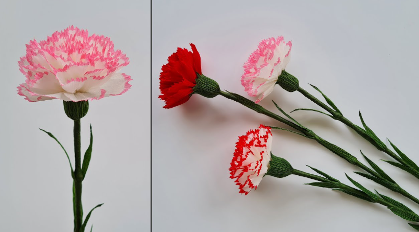 15 Easy DIY Paper Flowers for Kids: Fun Crafts for Toddlers, Preschoolers & Older Children Two panels showing handmade crepe paper carnations with white and pink-edged petals, solid red petals, and white petals with red edges, all mounted on green stems with leaves, featured as easy paper flowers for kids.
