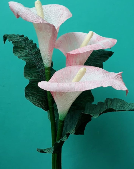 15 Easy DIY Paper Flowers for Kids: Fun Crafts for Toddlers, Preschoolers & Older Children Three handmade pink calla lily flowers with textured white spadixes, green stems, and dark green ruffled leaves against a teal background, presented as easy paper flowers for kids.