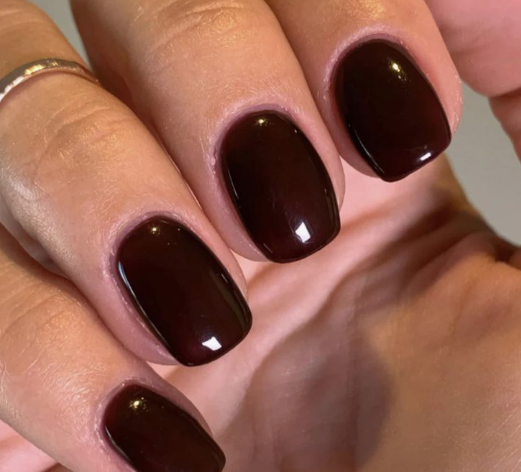 25 Short Fall Nail Ideas for 2026: Chic, Simple & Trendy Designs Short fall nail ideas 2026 showcasing short, squared nails finished in a glossy, rich dark plum polish.