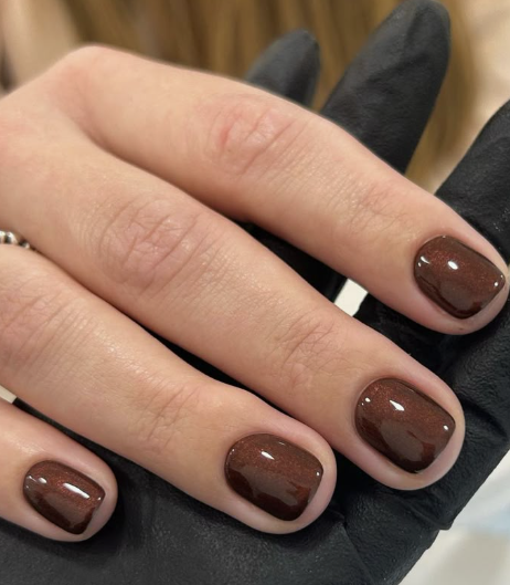 Brown nail ideas for short nails featuring a rich, glossy chocolate brown cat-eye effect on short square nails