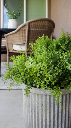 "A lush green potted plant in a textured fluted planter styled on a cozy outdoor patio, featured as part of 25 easy DIY home decor crafts for porch and garden spaces."