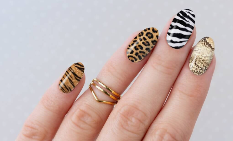 A hand with long, oval-shaped nails featuring mixed animal print patterns, styled for fall nail ideas 2026.