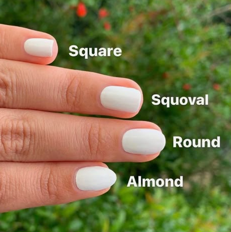 Brown nail ideas for short nails guide illustrating various short nail shapes including square, squoval, round, and almond.