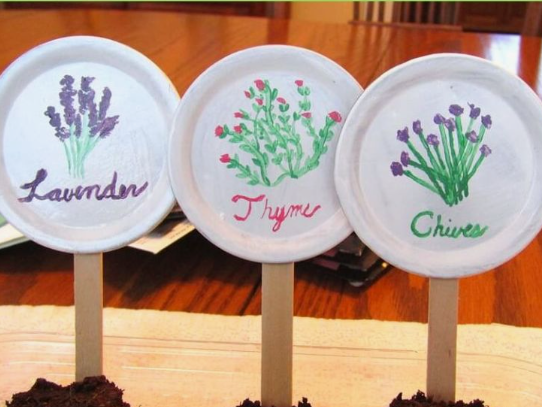 20 Recycled Household Item Crafts for a Creative Home Three garden plant markers crafted as recycled household item crafts from small plastic lids attached to wooden popsicle sticks, painted with hand-drawn illustrations and labels for lavender, thyme, and chives set against a wooden table background.