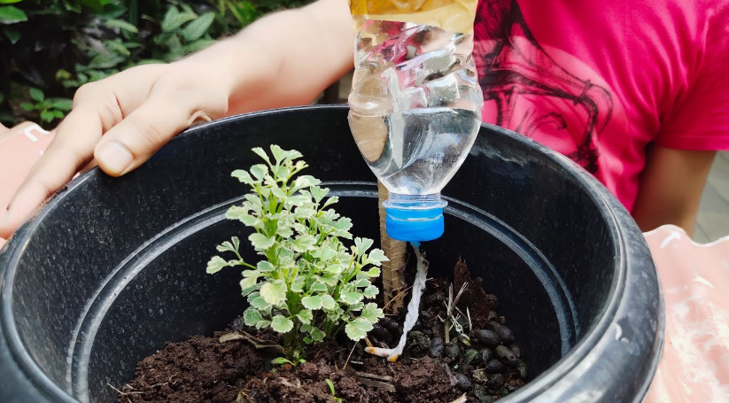 20 Recycled Household Item Crafts for a Creative Home A recycled household item craft functioning as a self-watering system for a potted plant, made from an inverted plastic bottle filled with water attached to a stake, using a wick inserted through the blue cap to drip water into the soil.