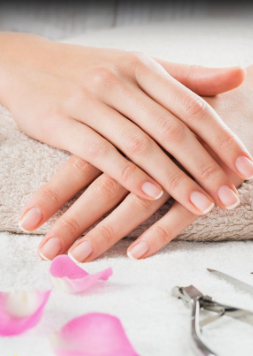35 Short Nail Designs That Make Your Fingers Look Longer A close-up of short, natural nails with clean white French tips resting on a white towel alongside pink rose petals, serving as one of the short nail designs that make your fingers look longer.