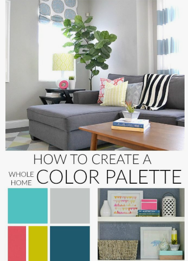 A vibrant living room featuring a gray sectional couch, a wooden coffee table, and an accent wall with shelves displaying books and decor, styled to illustrate how to create a whole home color palette.
