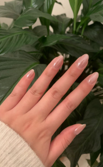 30 Classy Nail Colors for Mature Hands Hands showcasing classy nail colors for mature hands, featuring glossy sheer pearlescent nude oval nails set against lush green tropical leaves.